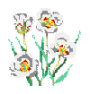 Utah State Flower: Sego Lily
