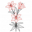 Lily Flower of Saskatchewan