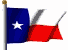 Texas State Flag - the Lone Star State