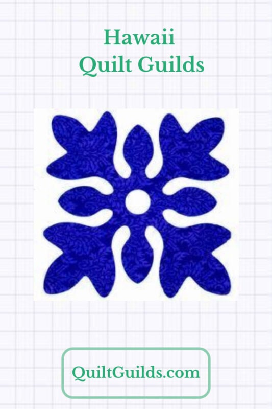 Graphic for HI quilt guilds