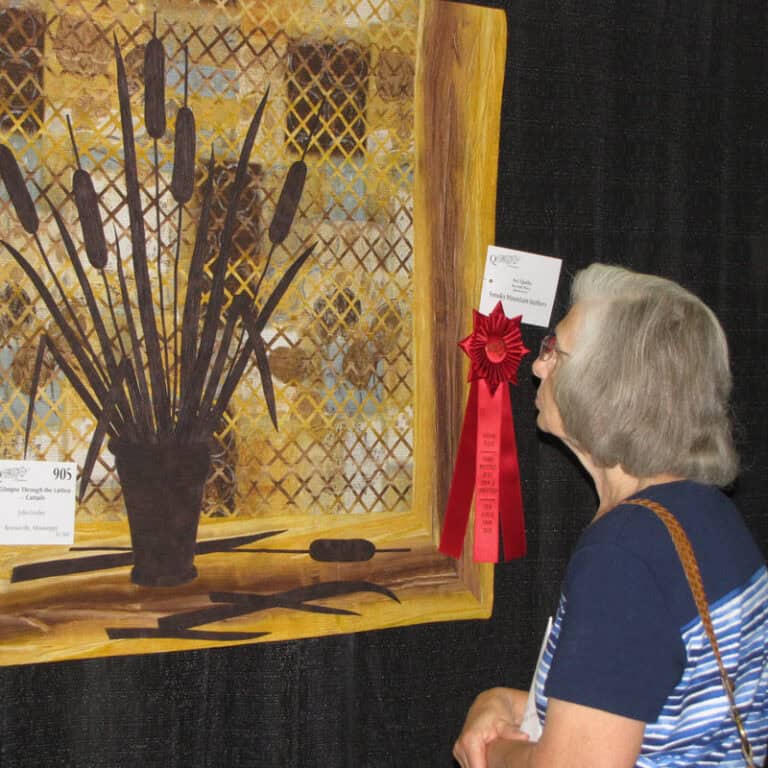 Smokey Mountain Quilter looking at a quilt